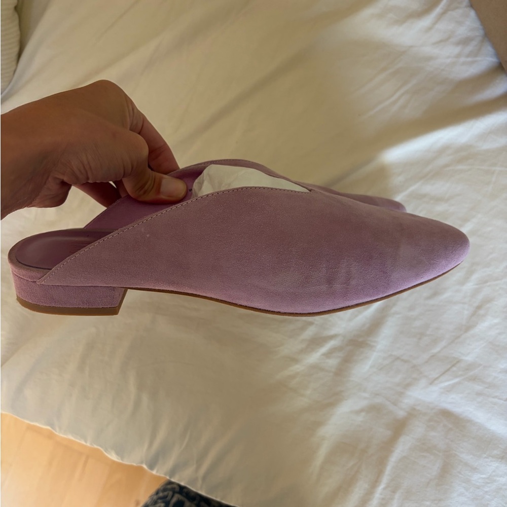 Charlotte Stone Lilac Suede Pointed Mules - Size 10 Slip On Flats - Picture 7 of 8